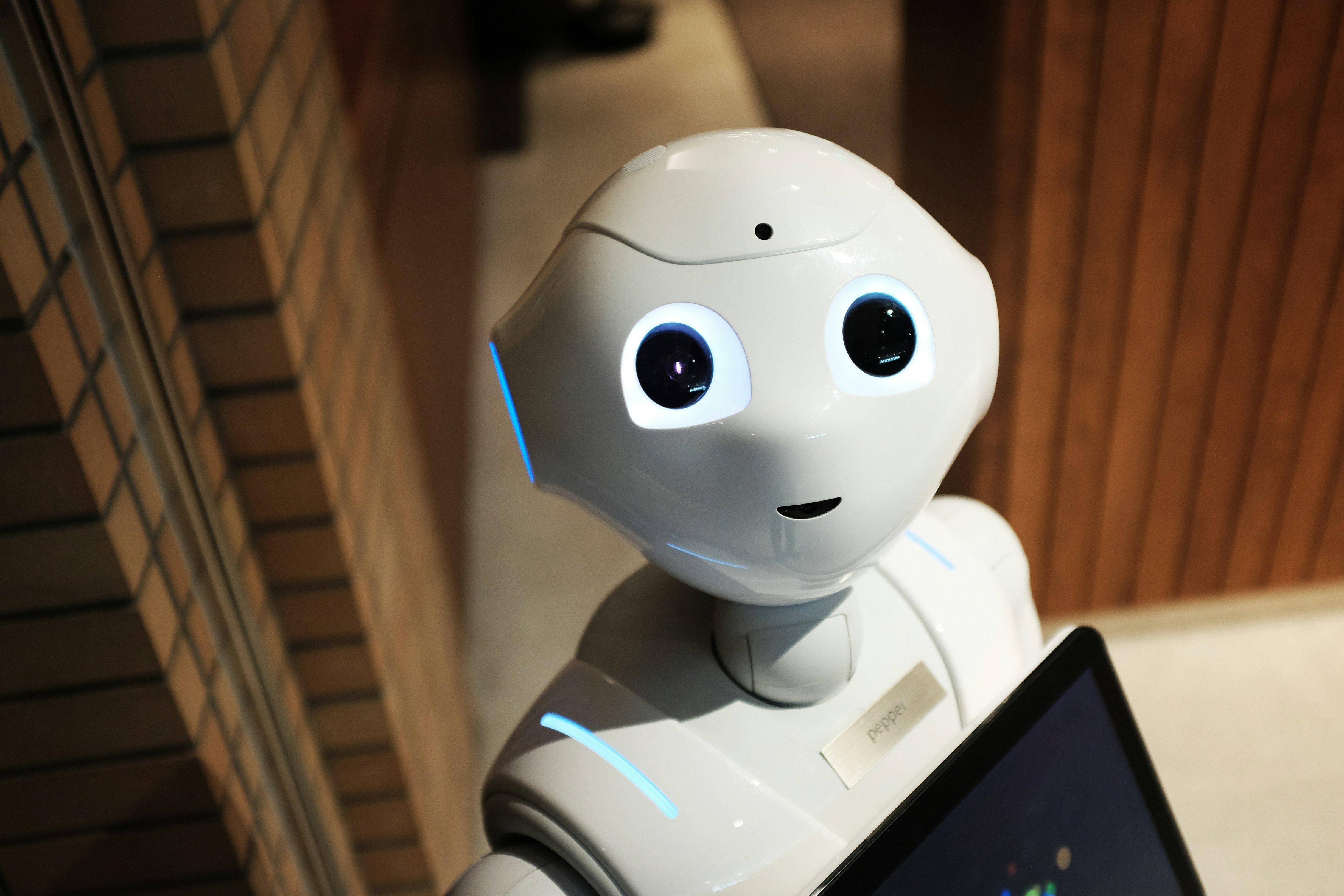 AI Startups Receive Massive Funding in India